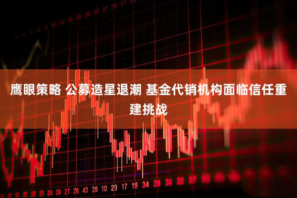 鹰眼策略 公募造星退潮 基金代销机构面临信任重建挑战