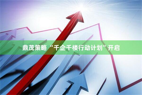 鼎茂策略 “千企千楼行动计划”开启