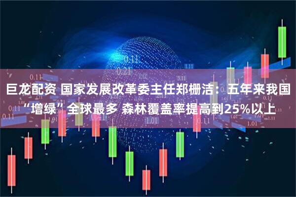 巨龙配资 国家发展改革委主任郑栅洁：五年来我国“增绿”全球最多 森林覆盖率提高到25%以上