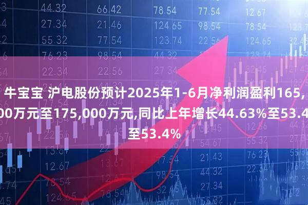牛宝宝 沪电股份预计2025年1-6月净利润盈利165,000万元至175,000万元,同比上年增长44.63%至53.4%