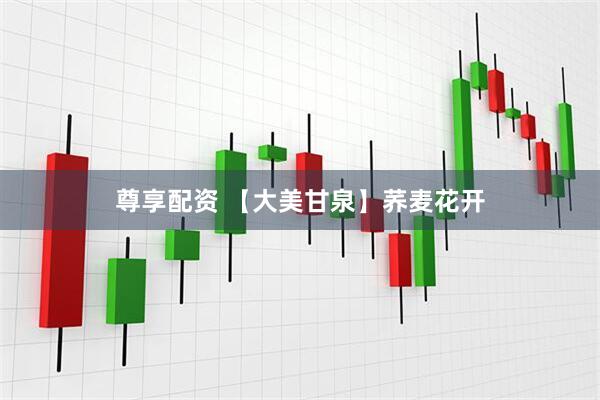 尊享配资 【大美甘泉】荞麦花开