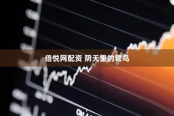 倍悦网配资 阴天里的鹭鸟