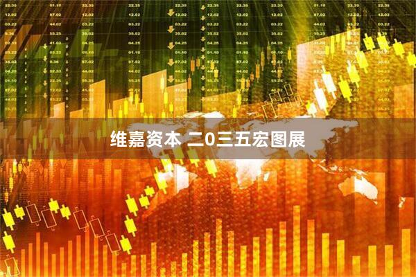 维嘉资本 二0三五宏图展