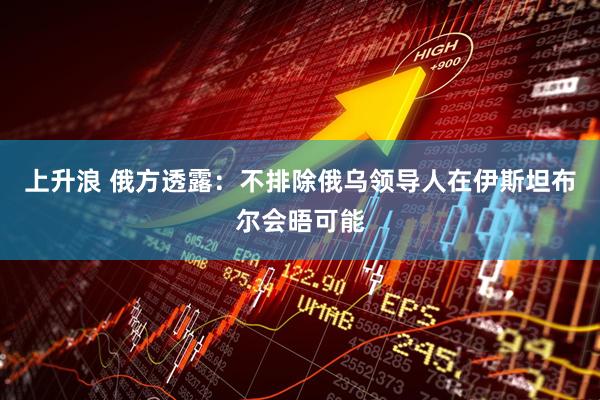 上升浪 俄方透露：不排除俄乌领导人在伊斯坦布尔会晤可能