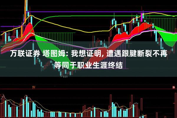 万联证券 塔图姆: 我想证明, 遭遇跟腱断裂不再等同于职业生涯终结